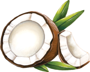 Cocolife Organic Coconut Oil